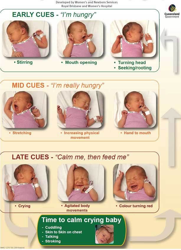 baby sleep cues